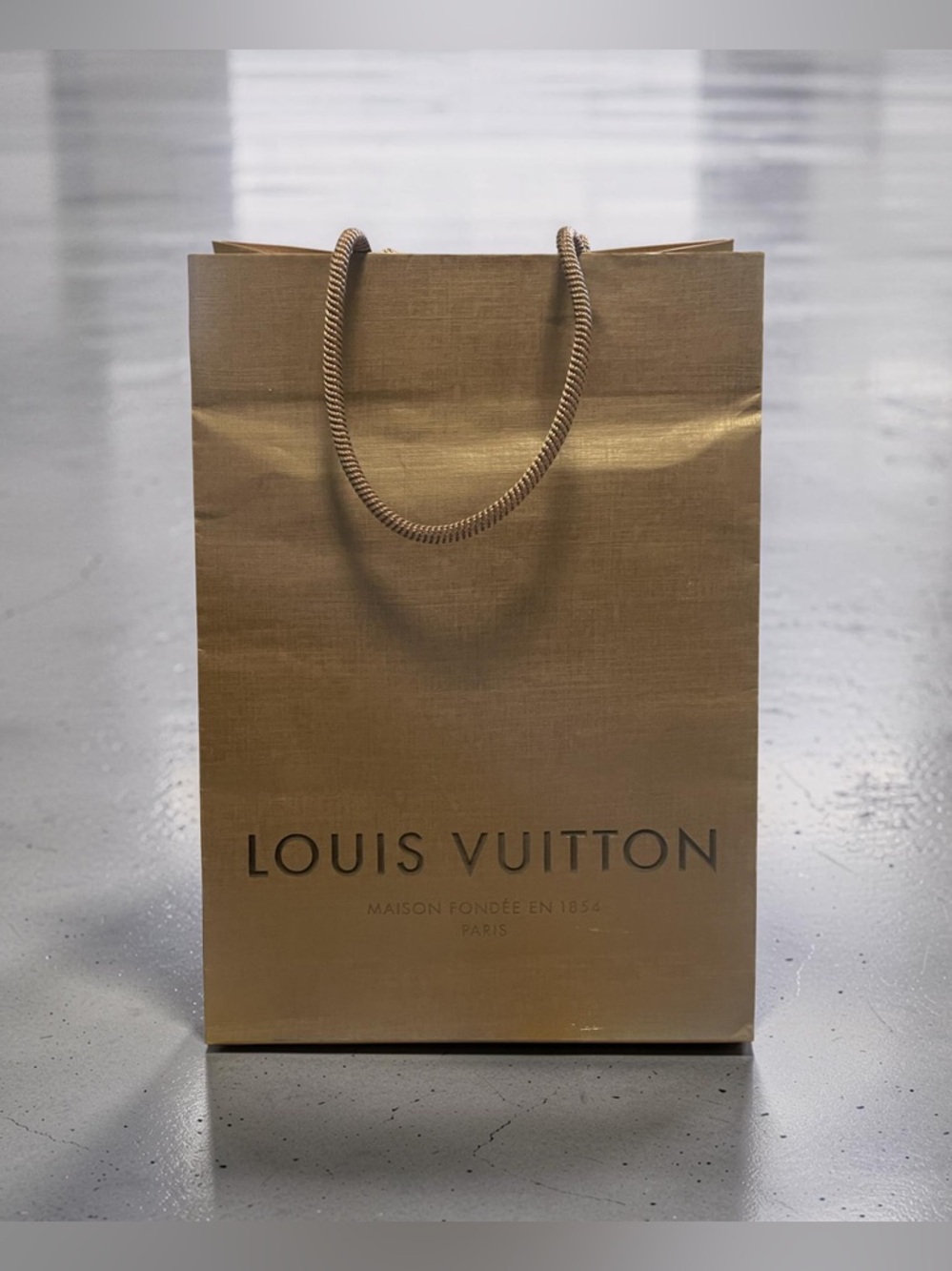 Louis Vuitton Brown Gift Bag 🥳